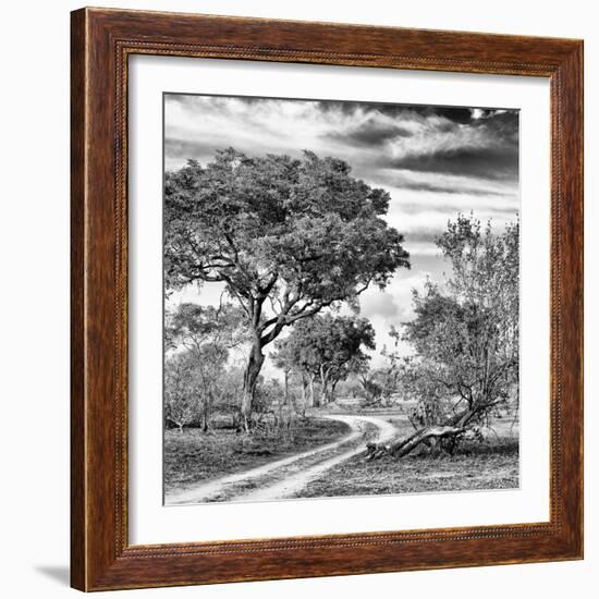 Awesome South Africa Collection Square - African Safari Road B&W-Philippe Hugonnard-Framed Photographic Print