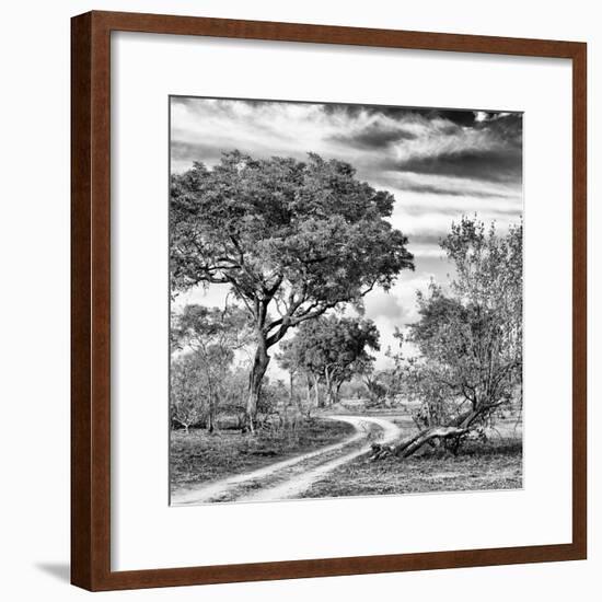 Awesome South Africa Collection Square - African Safari Road B&W-Philippe Hugonnard-Framed Photographic Print