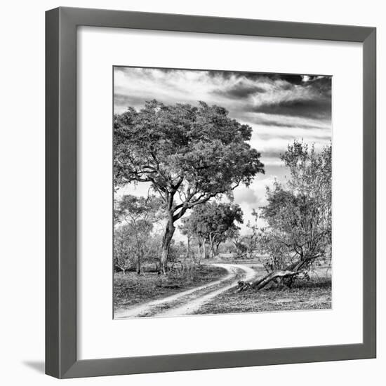 Awesome South Africa Collection Square - African Safari Road B&W-Philippe Hugonnard-Framed Photographic Print