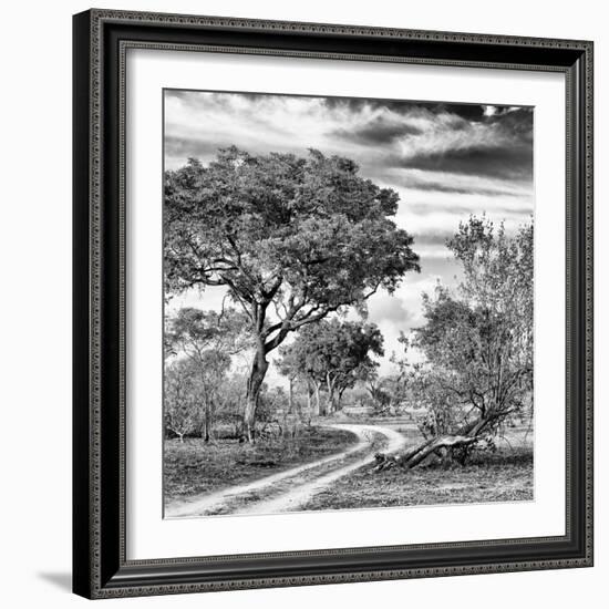 Awesome South Africa Collection Square - African Safari Road B&W-Philippe Hugonnard-Framed Photographic Print