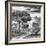 Awesome South Africa Collection Square - African Safari Road B&W-Philippe Hugonnard-Framed Photographic Print