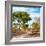 Awesome South Africa Collection Square - African Safari Road-Philippe Hugonnard-Framed Photographic Print