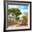 Awesome South Africa Collection Square - African Safari Road-Philippe Hugonnard-Framed Photographic Print