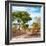 Awesome South Africa Collection Square - African Safari Road-Philippe Hugonnard-Framed Photographic Print