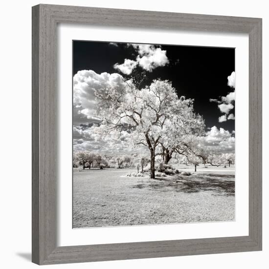 Awesome South Africa Collection Square - Another Look Savannah-Philippe Hugonnard-Framed Photographic Print