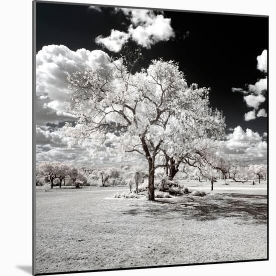Awesome South Africa Collection Square - Another Look Savannah-Philippe Hugonnard-Mounted Photographic Print