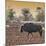 Awesome South Africa Collection Square - Blue Wildebeest walking at Sunset-Philippe Hugonnard-Mounted Photographic Print