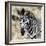 Awesome South Africa Collection Square - Burchell's Zebra Portrait II-Philippe Hugonnard-Framed Photographic Print