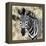 Awesome South Africa Collection Square - Burchell's Zebra Portrait II-Philippe Hugonnard-Framed Premier Image Canvas