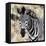 Awesome South Africa Collection Square - Burchell's Zebra Portrait II-Philippe Hugonnard-Framed Premier Image Canvas