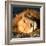 Awesome South Africa Collection Square - Close-Up of Lion Sleeping-Philippe Hugonnard-Framed Photographic Print