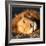 Awesome South Africa Collection Square - Close-Up of Lion Sleeping-Philippe Hugonnard-Framed Photographic Print