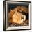 Awesome South Africa Collection Square - Close-Up of Lion Sleeping-Philippe Hugonnard-Framed Photographic Print