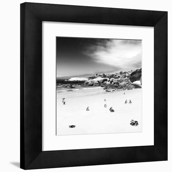 Awesome South Africa Collection Square - Colony of Penguins B&W-Philippe Hugonnard-Framed Photographic Print