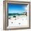 Awesome South Africa Collection Square - Colony of Penguins II-Philippe Hugonnard-Framed Photographic Print