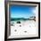 Awesome South Africa Collection Square - Colony of Penguins II-Philippe Hugonnard-Framed Photographic Print