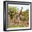 Awesome South Africa Collection Square - Crossing Giraffes-Philippe Hugonnard-Framed Photographic Print