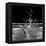 Awesome South Africa Collection Square - Dead Acacia Tree II B&W-Philippe Hugonnard-Framed Premier Image Canvas