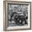 Awesome South Africa Collection Square - Elephant Family B&W-Philippe Hugonnard-Framed Photographic Print