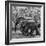 Awesome South Africa Collection Square - Elephant Family B&W-Philippe Hugonnard-Framed Photographic Print