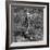 Awesome South Africa Collection Square - Giraffe B&W-Philippe Hugonnard-Framed Photographic Print