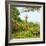 Awesome South Africa Collection Square - Giraffe in Trees-Philippe Hugonnard-Framed Photographic Print