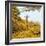 Awesome South Africa Collection Square - Giraffe in Yellow Trees-Philippe Hugonnard-Framed Photographic Print