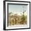 Awesome South Africa Collection Square - Giraffes in Savannah II-Philippe Hugonnard-Framed Photographic Print