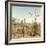 Awesome South Africa Collection Square - Giraffes in Savannah II-Philippe Hugonnard-Framed Photographic Print