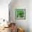 Awesome South Africa Collection Square - Green House - Cape Town-Philippe Hugonnard-Framed Photographic Print displayed on a wall