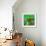 Awesome South Africa Collection Square - Green House - Cape Town-Philippe Hugonnard-Framed Photographic Print displayed on a wall