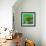 Awesome South Africa Collection Square - Green House - Cape Town-Philippe Hugonnard-Framed Photographic Print displayed on a wall