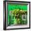 Awesome South Africa Collection Square - Green House - Cape Town-Philippe Hugonnard-Framed Photographic Print