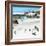 Awesome South Africa Collection Square - Group of Penguins at Boulders Beach III-Philippe Hugonnard-Framed Photographic Print