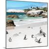 Awesome South Africa Collection Square - Group of Penguins at Boulders Beach III-Philippe Hugonnard-Mounted Photographic Print