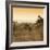 Awesome South Africa Collection Square - Impala Antelope at Sunrise-Philippe Hugonnard-Framed Photographic Print