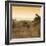 Awesome South Africa Collection Square - Impala Antelope at Sunrise-Philippe Hugonnard-Framed Photographic Print