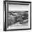 Awesome South Africa Collection Square - Lonely Bench B&W-Philippe Hugonnard-Framed Photographic Print