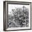 Awesome South Africa Collection Square - Look Giraffes II B&W-Philippe Hugonnard-Framed Photographic Print