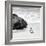 Awesome South Africa Collection Square - Penguin Alone on the Beach B&W-Philippe Hugonnard-Framed Photographic Print