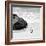 Awesome South Africa Collection Square - Penguin Alone on the Beach B&W-Philippe Hugonnard-Framed Photographic Print