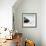 Awesome South Africa Collection Square - Penguin Alone on the Beach-Philippe Hugonnard-Framed Photographic Print displayed on a wall