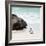 Awesome South Africa Collection Square - Penguin Alone on the Beach-Philippe Hugonnard-Framed Photographic Print