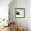 Awesome South Africa Collection Square - Penguin Alone on the Beach-Philippe Hugonnard-Framed Photographic Print displayed on a wall