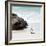 Awesome South Africa Collection Square - Penguin Alone on the Beach-Philippe Hugonnard-Framed Photographic Print