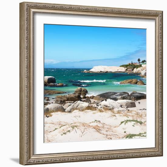 Awesome South Africa Collection Square - Penguin Colony on Beach-Philippe Hugonnard-Framed Photographic Print