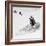 Awesome South Africa Collection Square - Penguin Lovers B&W-Philippe Hugonnard-Framed Photographic Print