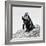 Awesome South Africa Collection Square - Penguin Lovers II B&W-Philippe Hugonnard-Framed Photographic Print