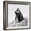 Awesome South Africa Collection Square - Penguin Lovers II B&W-Philippe Hugonnard-Framed Photographic Print
