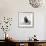 Awesome South Africa Collection Square - Penguin Lovers II B&W-Philippe Hugonnard-Framed Photographic Print displayed on a wall